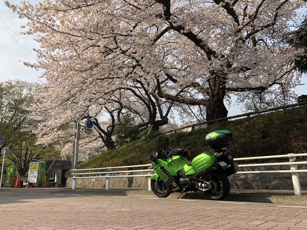 sakura and GTR